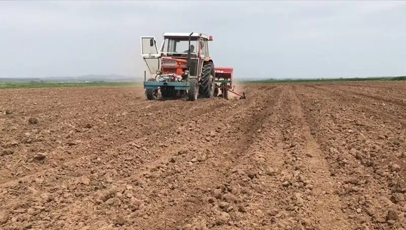 Son 35 Yılın En Kurak Mart Ayı: Türkiye'yi Ne Bekliyor?