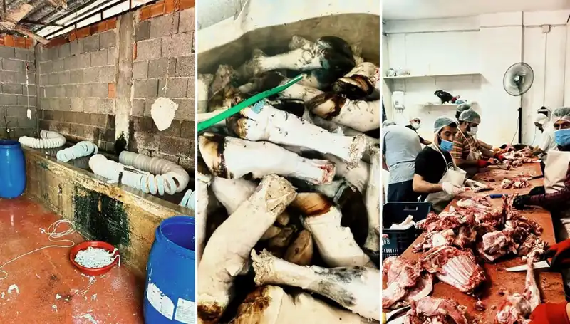 Adana'da Şok Eden Olay: Yüzlerce Kilo Kaçak Paça Ele Geçirildi!