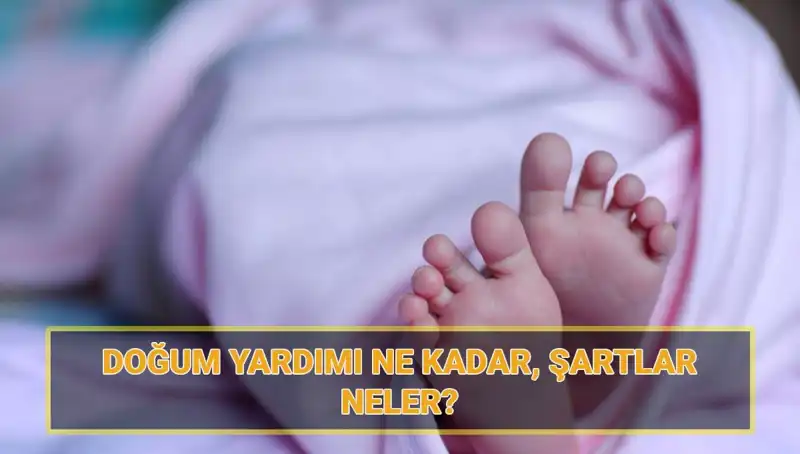 2025'te 5 Bin Lira Doğum Yardımı İçin Başvuru Rehberi