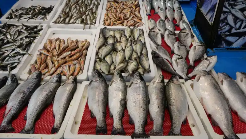 Yasaklar Sonrası Tezgâhlar Şimdi Onların! İşte Yeni Dönem Arka Planda Neler Oluyor?