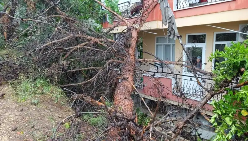 Yağmurun Kurbanı Olan Bina: Ani Çöküş Kimseyi Beklemedi