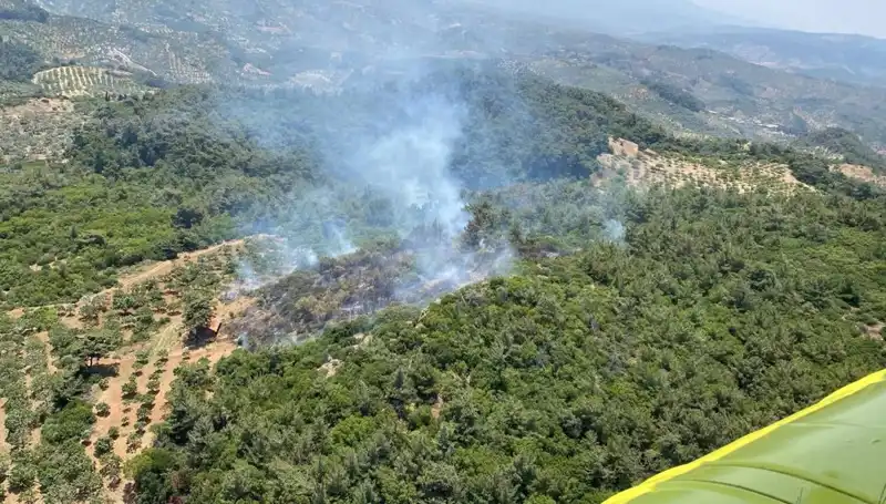 Aydın’da Kontrol Altına Alınan Orman Yangını, Yaralar Sarılıyor