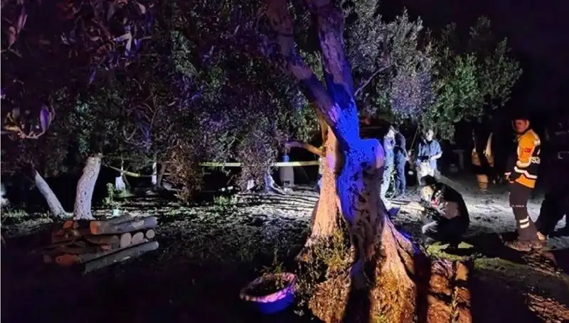 Çiftlikte Baltalı Vahşet: Şoke Eden Tutuklama Gerçekleşti
