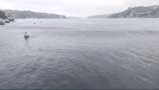 İstanbul’u Sarsan 6,2 Büyüklüğündeki Deprem ve Dalgalardaki Yükseliş!