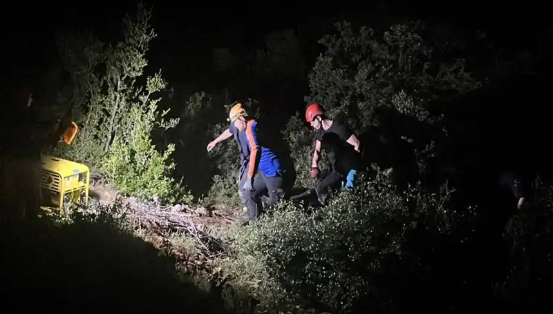 Define Arayışı Korkunç Bir Sonuçla Bitti: İşte Detaylar