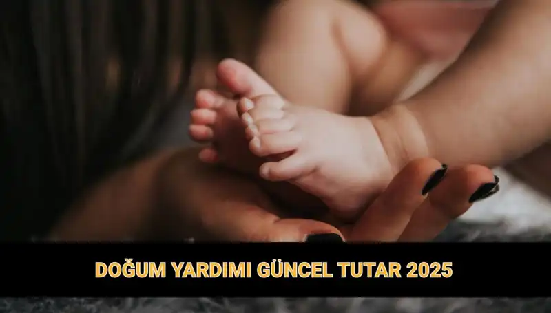 Yeni Yılda Artan Doğum Yardımı Parası Tutarları Açıklandı
