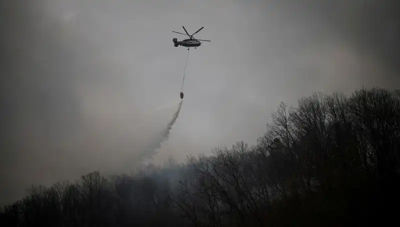 Güney Kore'de Tragik Helikopter Kazası: Yangın Söndürme Uçağı Düştü