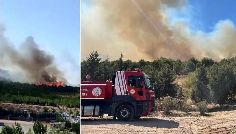 Gebze'de Yangın Paniği: Orman Alev Alev! Neler Yaşandı?
