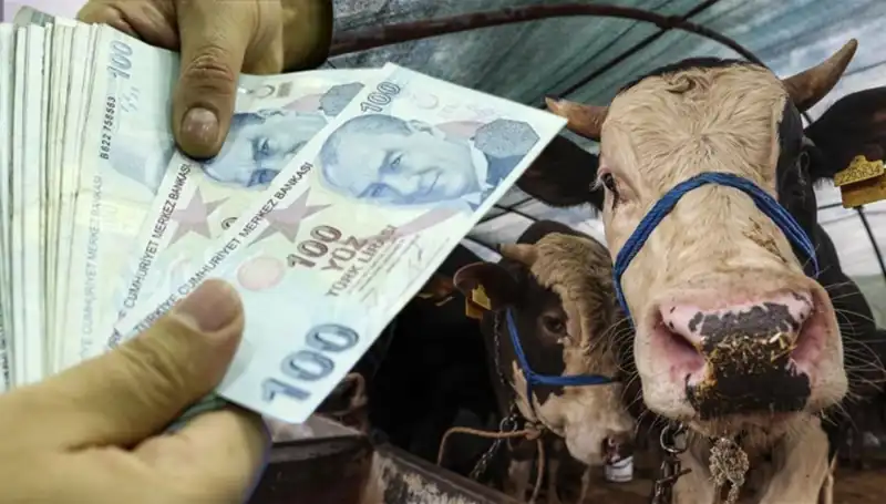 Bayram Öncesi Maaşlar Ne Zaman Yatacak? Emeklilere Müjde Var!
