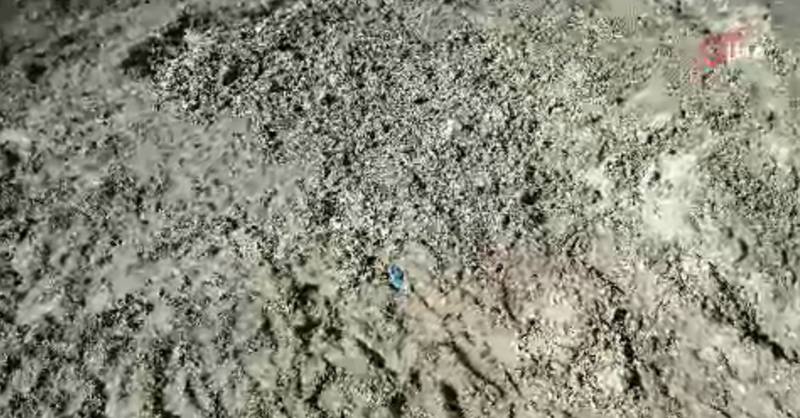 İstanbul'da Kayıp Çinli İş İnsanı: Korkunç Cinayetin Ayrıntıları Ortaya Çıktı