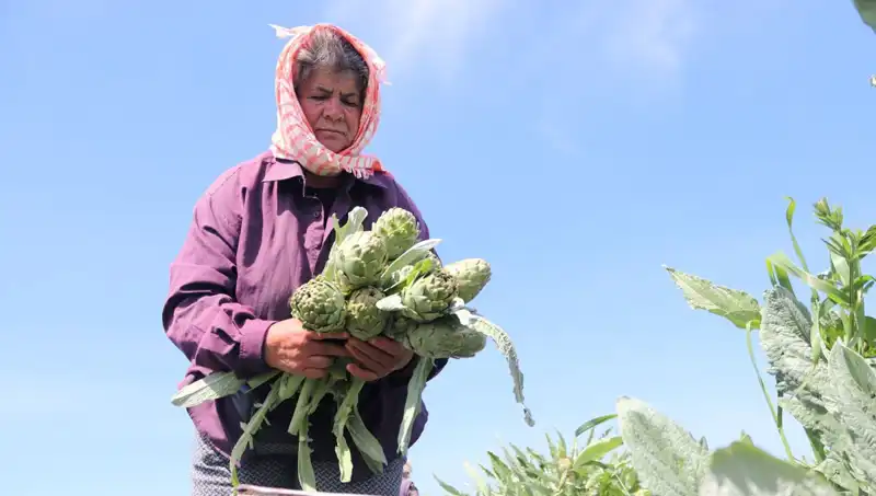 Tarladan Sofralara: Tezgah Fiyatları Olarak 50 TL'yi Aşan Ürünler