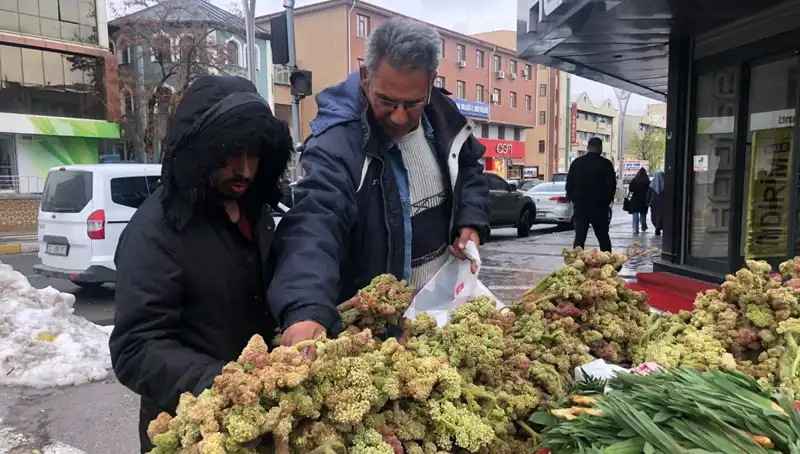 Kendiliğinden Yetişen Vitamin Deposunun Sağlık Üzerindeki Etkileri