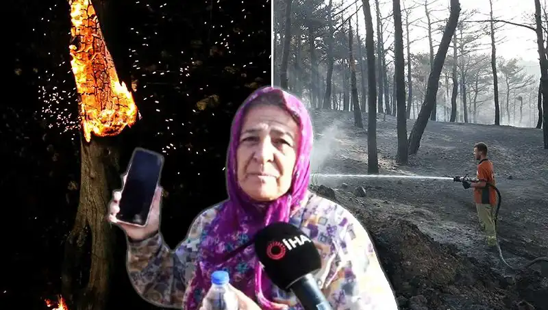 Çanakkale’deki Orman Yangınları Kontrol Altına Alındı: Kayıplar ve Kurtarma Mücadelesi