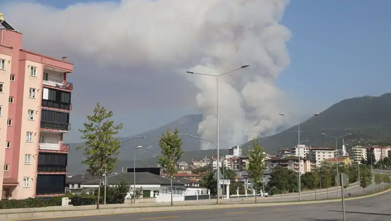 Denizli’de Dev Yangın! Ormanlarda Yaşanan Felaketin Ardında Şüpheli Şahıs Yakalandı